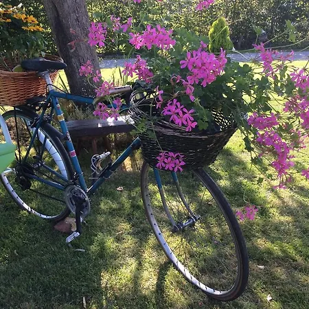 La Glycine Du Boulonnais *